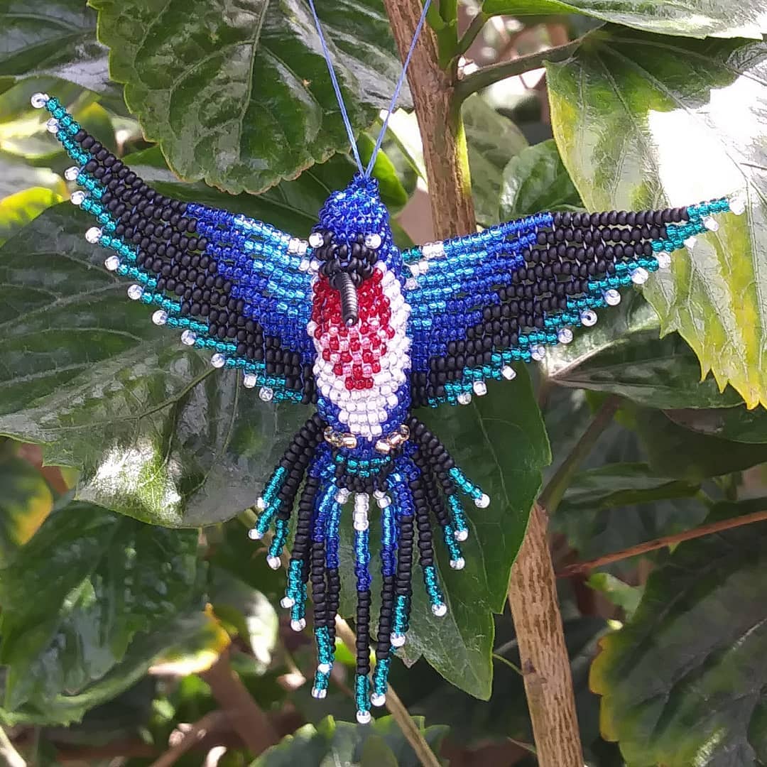 Blue Hummingbird