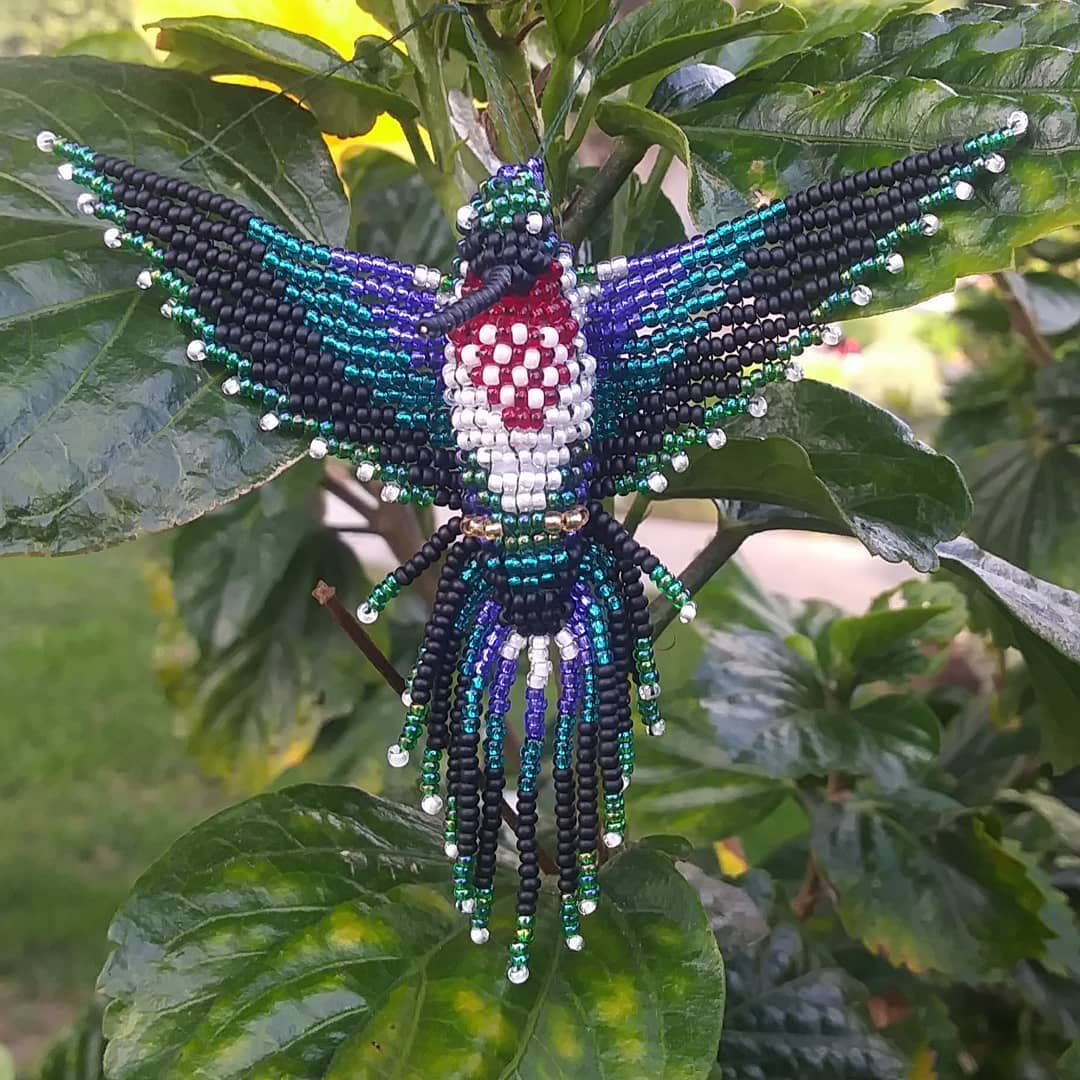 Purple Hummingbird