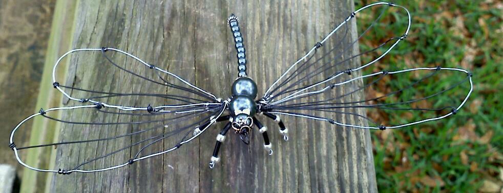 Black Dragonfly